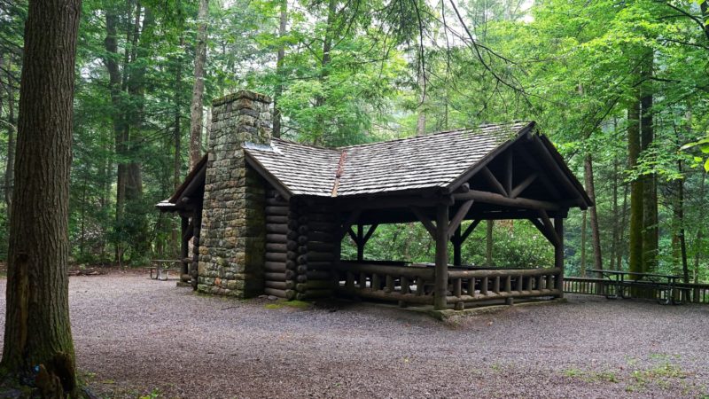 West Virginia's Top Pet Friendly Attraction: The Monongahela National Forest | GoPetFriendly.com