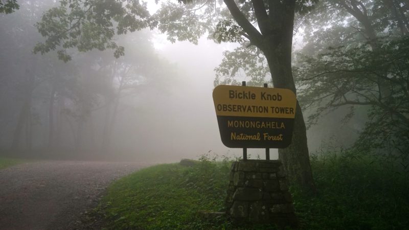 West Virginia's Top Pet Friendly Attraction: The Monongahela National Forest | GoPetFriendly.com