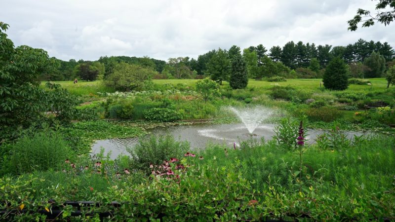 Ohio's Top Pet Friendly Attraction: Holden Arboretum | GoPetFriendly.com