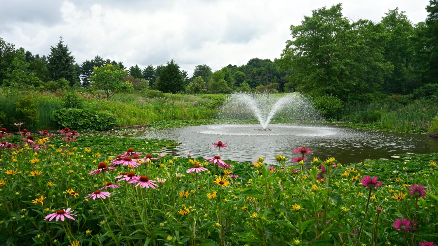 Ohio's Top Pet Friendly Attraction: Holden Arboretum | GoPetFriendly.com