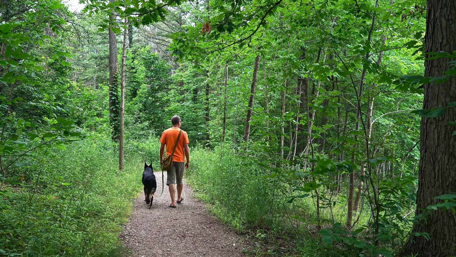 La principal atracción para mascotas de Ohio: Holden Arboretum |  GoPetFriendly.com