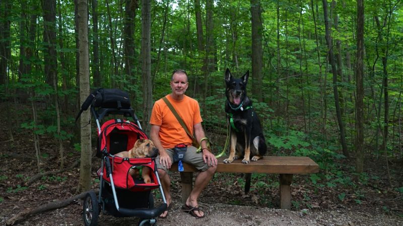 Ohio's Top Pet Friendly Attraction: Holden Arboretum | GoPetFriendly.com