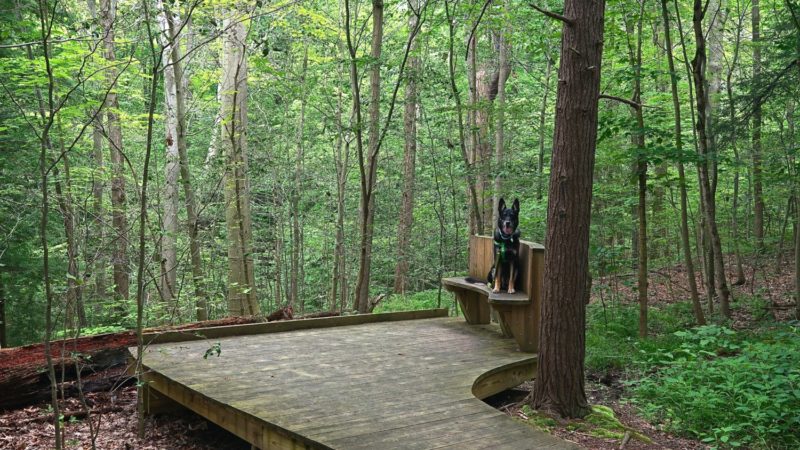 Ohio's Top Pet Friendly Attraction: Holden Arboretum | GoPetFriendly.com