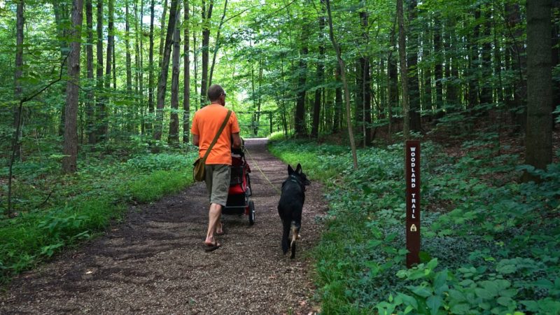 Ohio's Top Pet Friendly Attraction: Holden Arboretum | GoPetFriendly.com