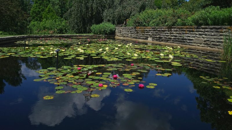 Ohio's Top Pet Friendly Attraction: Holden Arboretum | GoPetFriendly.com