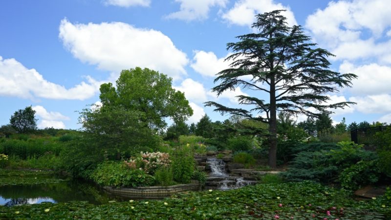 Ohio's Top Pet Friendly Attraction: Holden Arboretum | GoPetFriendly.com