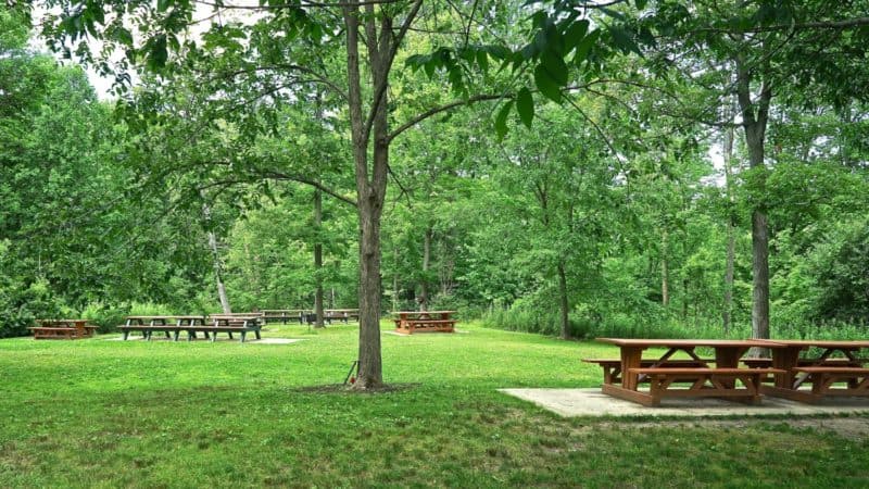 Ohio's Top Pet Friendly Attraction: Holden Arboretum | GoPetFriendly.com