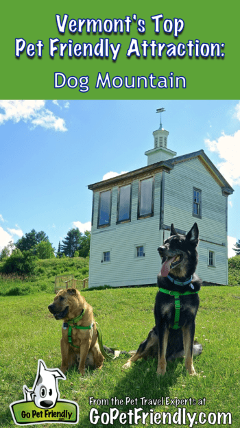 Vermont's Top Pet Friendly Attraction: Dog Mountain | GoPetFriendly.com