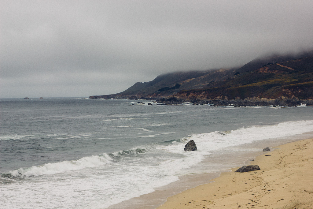 California's Dog Friendly Beaches - From the Redwoods to Santa Barbara | GoPetFriendly.com