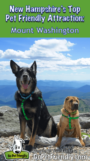 New Hampshire's Top Pet Friendly Attraction: Mount Washington | GoPetFriendly.com