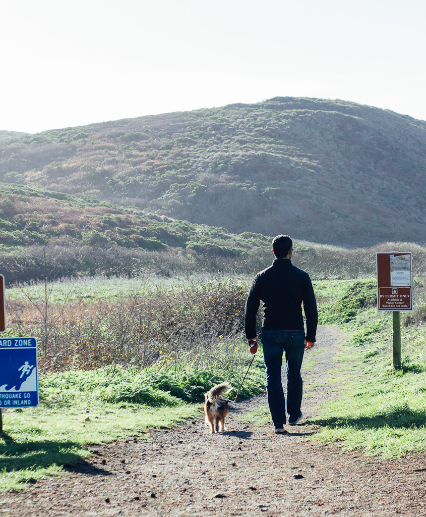 California's Dog Friendly Beaches - From the Redwoods to Santa Barbara | GoPetFriendly.com