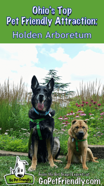 Ohio's Top Pet Friendly Attraction: Holden Arboretum | GoPetFriendly.com