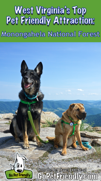 West Virginia's Top Pet Friendly Attraction: The Monongahela National Forest | GoPetFriendly.com