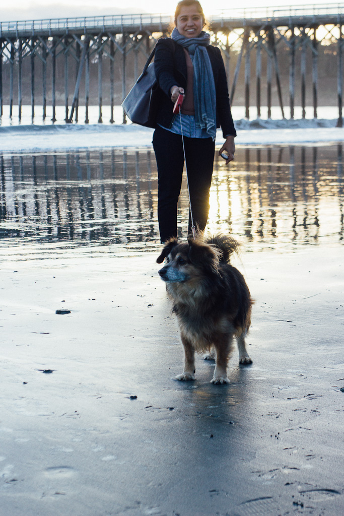 California's Dog Friendly Beaches - From the Redwoods to Santa Barbara | GoPetFriendly.com