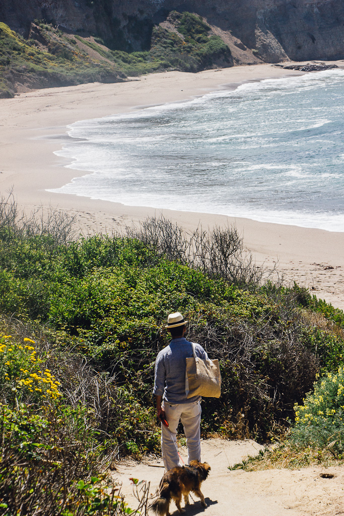 California's Dog Friendly Beaches - From the Redwoods to Santa Barbara | GoPetFriendly.com