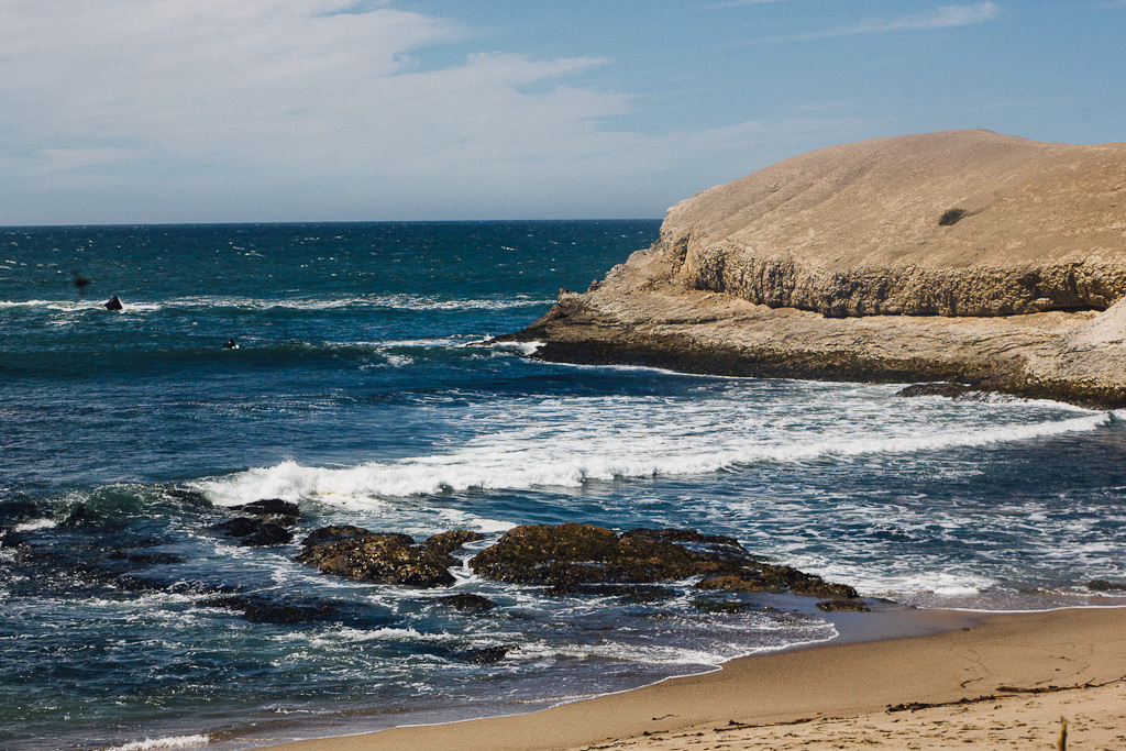 California's Dog Friendly Beaches - From the Redwoods to Santa Barbara | GoPetFriendly.com