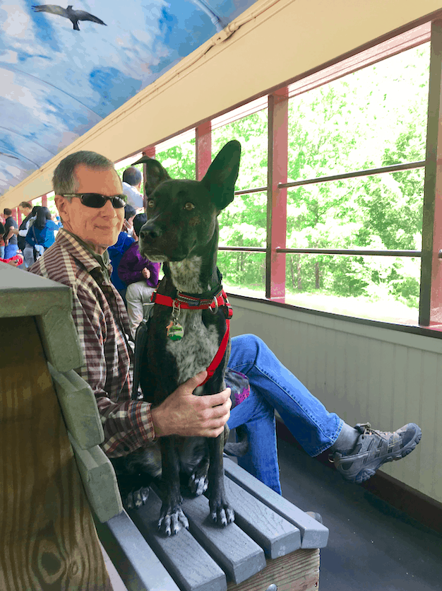 Brindle dog sitting beside man on the pet friendly Lehigh Gorge Scenic Railway in Jim Thorpe, PA