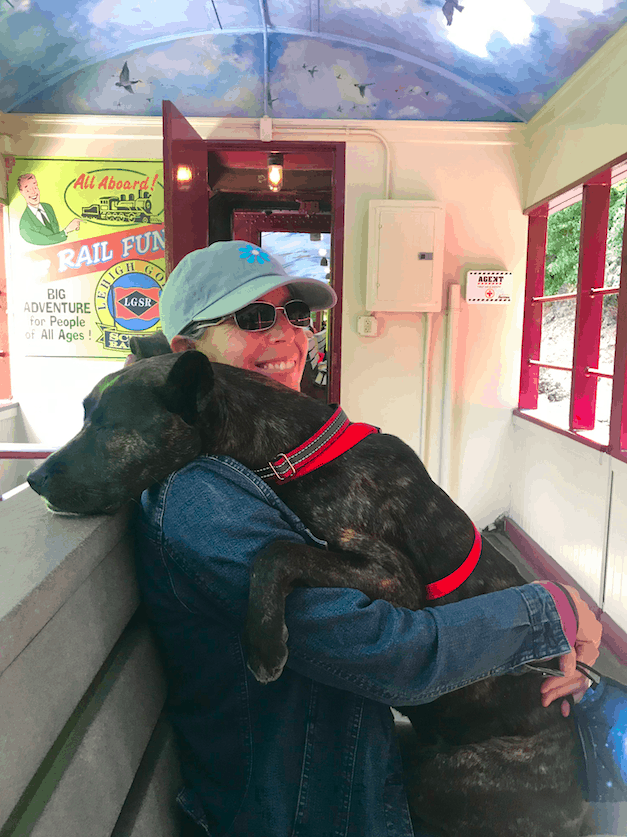 Woman in a hat holding a brindle dog on the Lehigh Gorge Scenic Railway in Jim Thorpe, PA