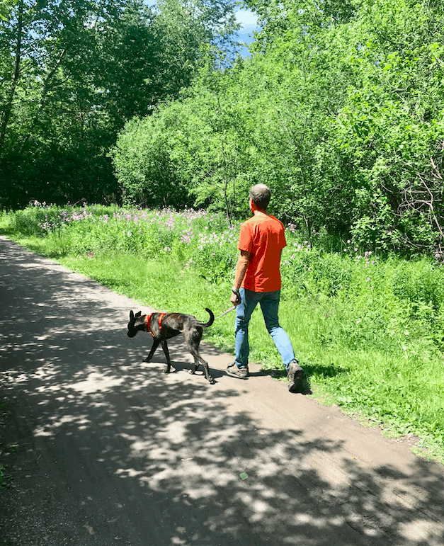 Man walking dog on a pet friendly trail in Jim Thorpe, PA