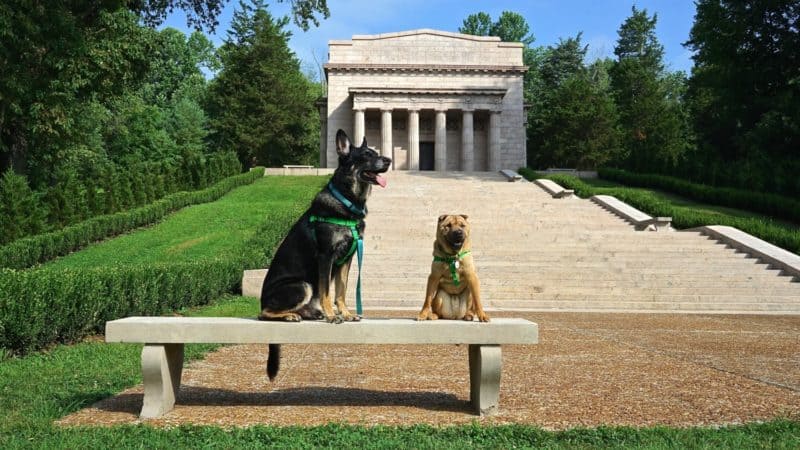 Kentucky's Top Pet Friendly Attraction: Abraham Lincoln Birthplace | GoPetFriendly.com