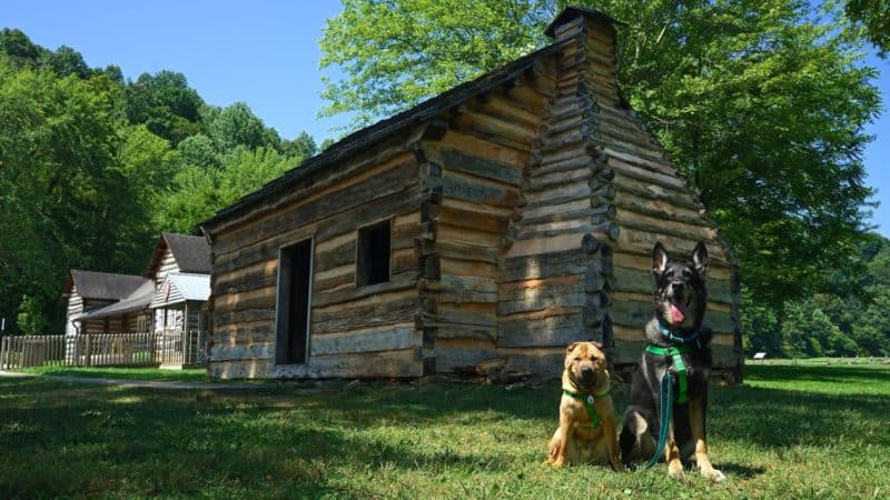 Kentucky's Top Pet Friendly Attraction: Abraham Lincoln Birthplace | GoPetFriendly.com