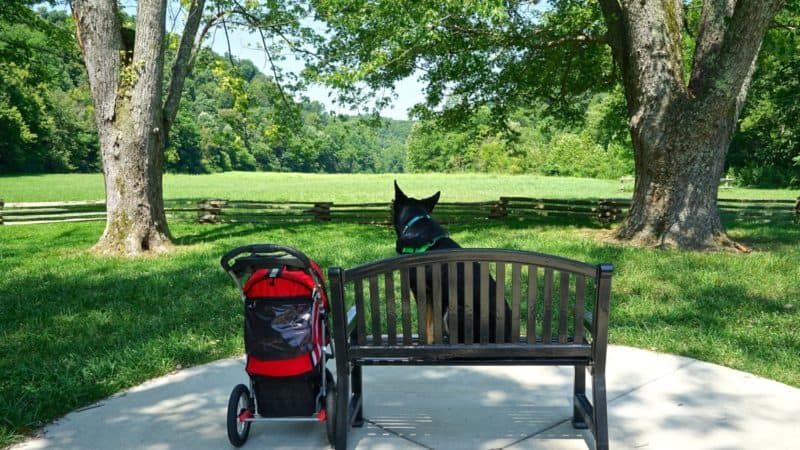 Kentucky's Top Pet Friendly Attraction: Abraham Lincoln Birthplace | GoPetFriendly.com