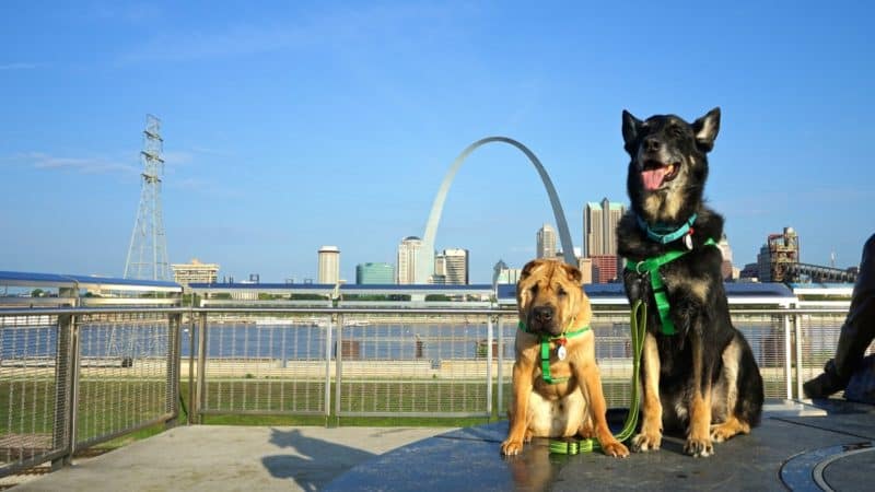 Missouri's Top Pet Friendly Attraction: Gateway Arch Park | GoPetFriendly.com