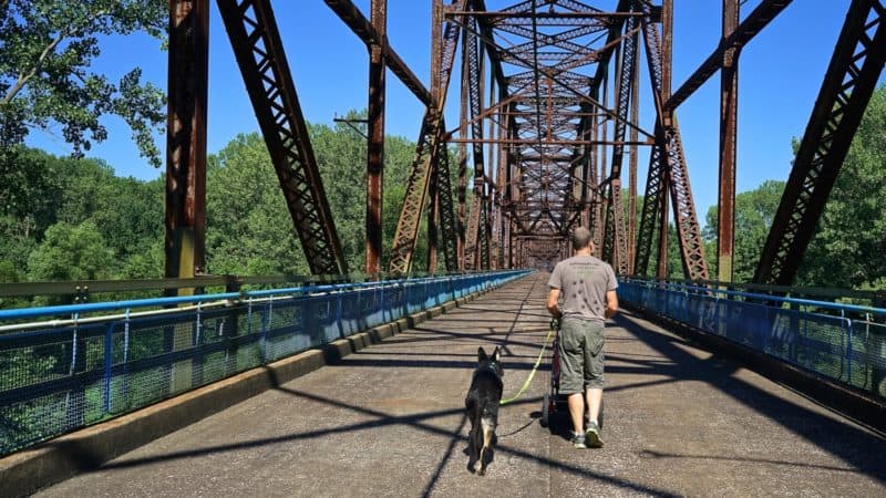 Missouri's Top Pet Friendly Attraction: Gateway Arch Park | GoPetFriendly.com