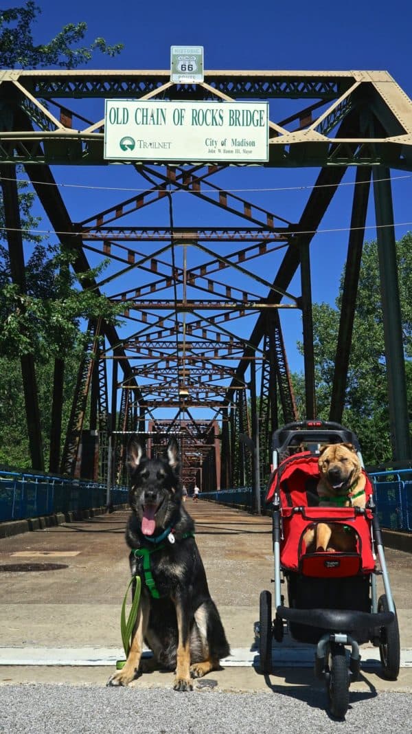 Missouri's Top Pet Friendly Attraction: Gateway Arch Park | GoPetFriendly.com