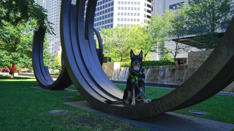 Missouri's Top Pet Friendly Attraction: Gateway Arch Park | GoPetFriendly.com