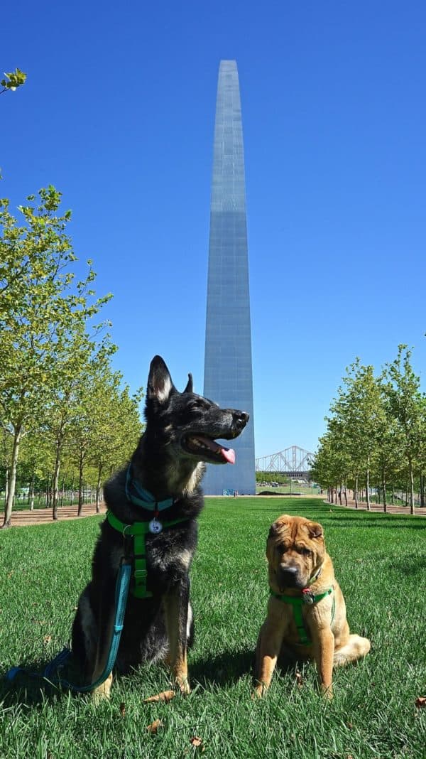 Missouri's Top Pet Friendly Attraction: Gateway Arch Park | GoPetFriendly.com