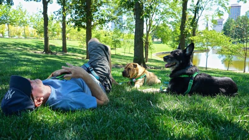 Missouri's Top Pet Friendly Attraction: Gateway Arch Park | GoPetFriendly.com