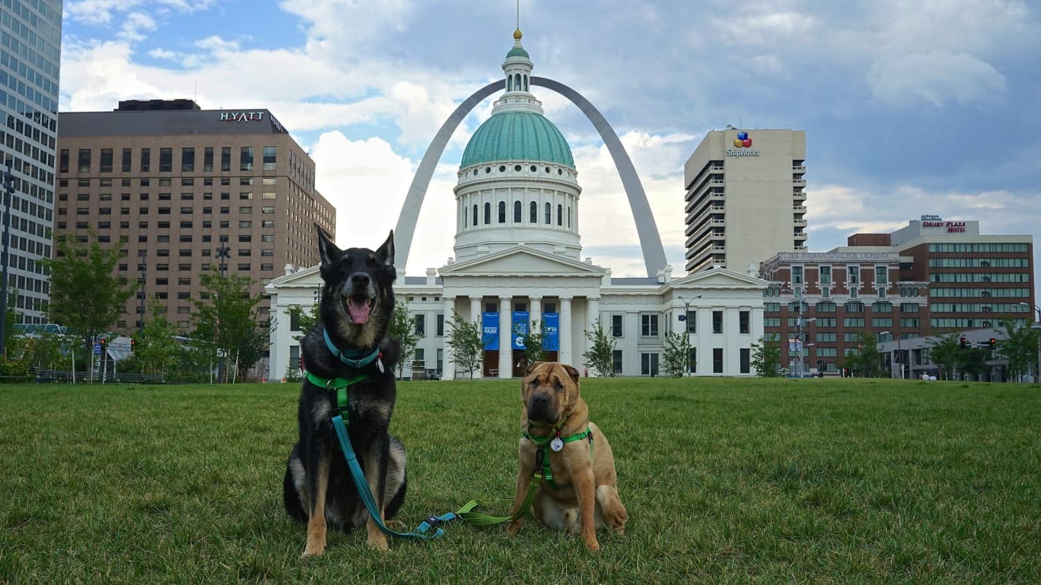 St. Louis Arch Dog Tags