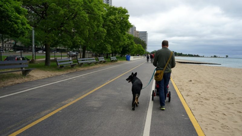 Illinois' Top Pet Friendly Attraction: Chicago Lakefront Trail and Navy Pier | GoPetFriendly.com