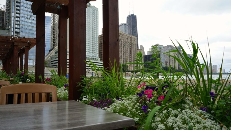 Illinois' Top Pet Friendly Attraction: Chicago Lakefront Trail and Navy Pier | GoPetFriendly.com