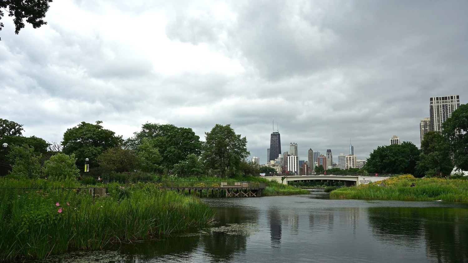 Illinois' Top Pet Friendly Attraction: Chicago Lakefront Trail and Navy Pier | GoPetFriendly.com