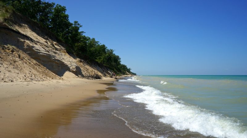 are dogs allowed at indiana dunes