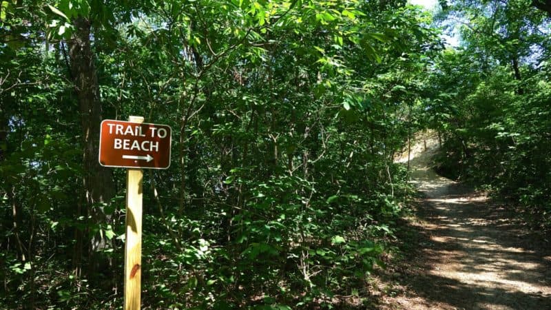 Indiana's Top Pet Friendly Attraction: Indiana Dunes Lakeshore | GoPetFriendly.com