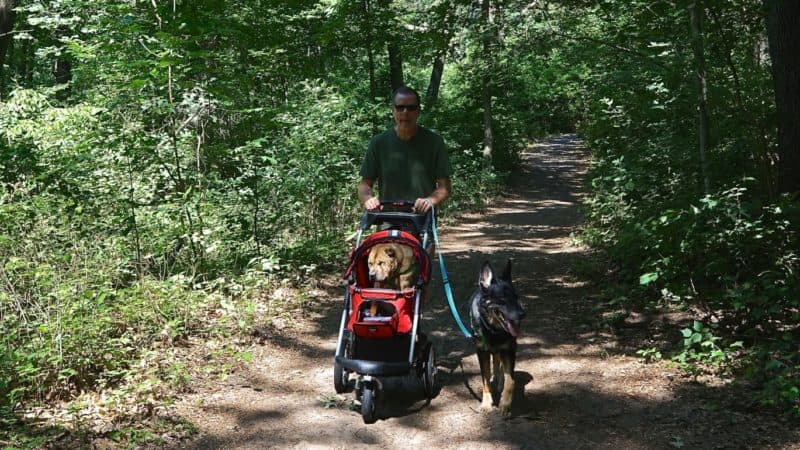 Indiana's Top Pet Friendly Attraction: Indiana Dunes Lakeshore | GoPetFriendly.com