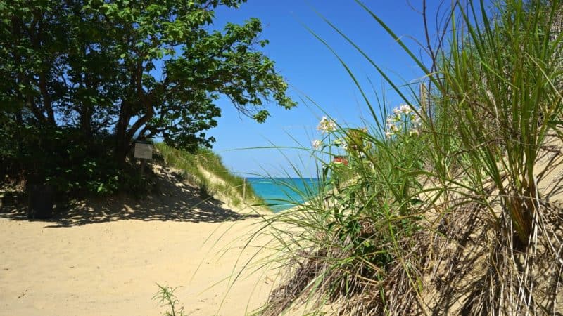 Indiana's Top Pet Friendly Attraction: Indiana Dunes Lakeshore | GoPetFriendly.com