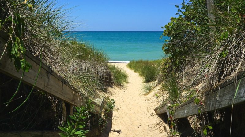 Indiana's Top Pet Friendly Attraction: Indiana Dunes Lakeshore | GoPetFriendly.com