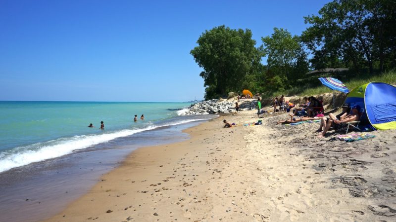 Indiana's Top Pet Friendly Attraction: Indiana Dunes Lakeshore | GoPetFriendly.com
