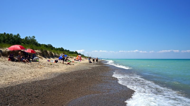 Indiana's Top Pet Friendly Attraction: Indiana Dunes Lakeshore | GoPetFriendly.com