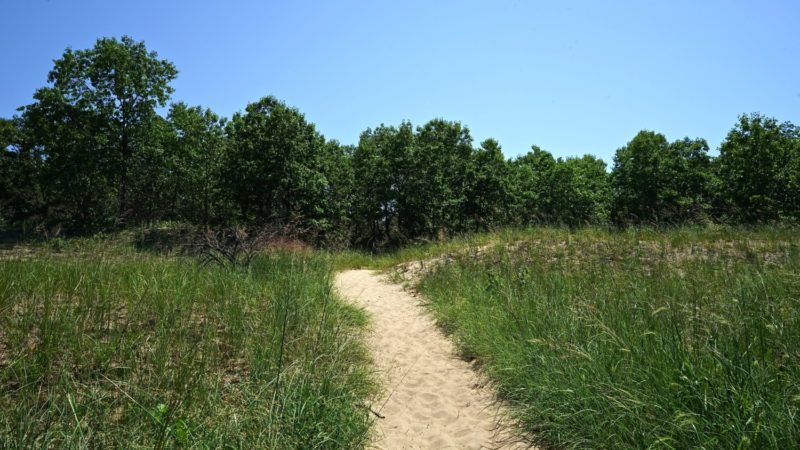 Indiana's Top Pet Friendly Attraction: Indiana Dunes Lakeshore | GoPetFriendly.com