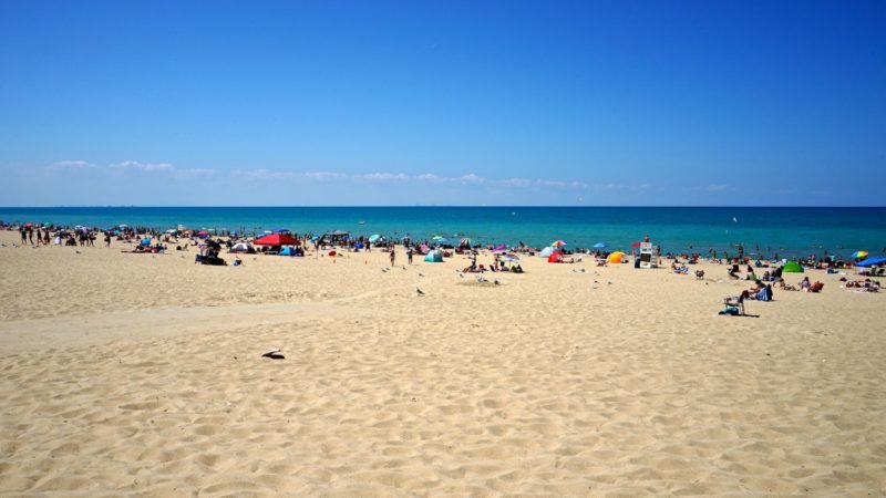 Indiana's Top Pet Friendly Attraction: Indiana Dunes Lakeshore | GoPetFriendly.com