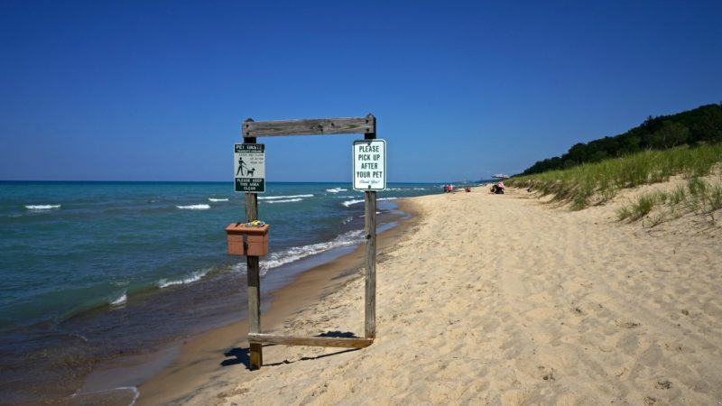 Indiana's Top Pet Friendly Attraction: Indiana Dunes Lakeshore | GoPetFriendly.com