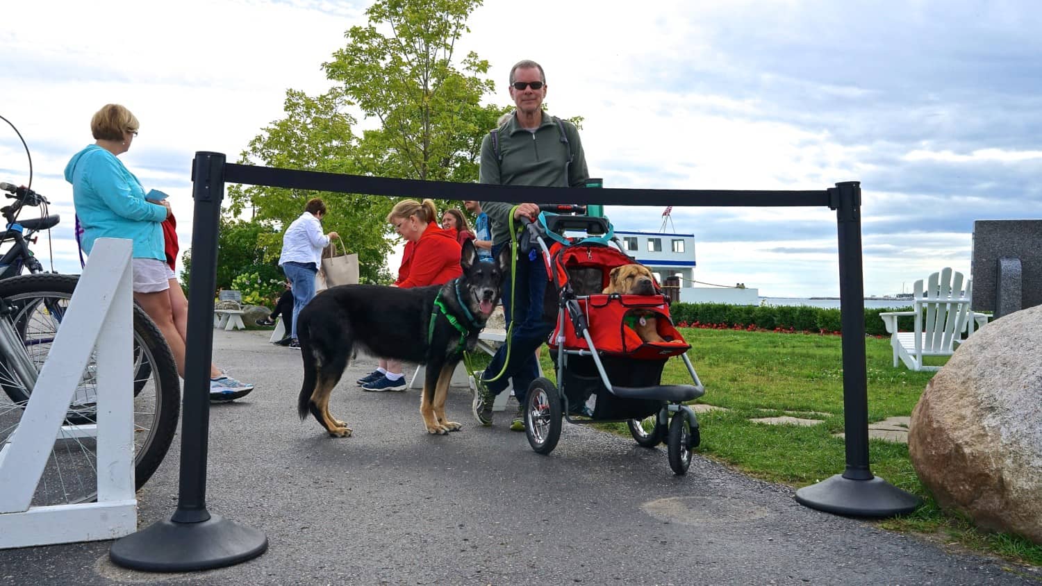 Michigan's Top Pet Friendly Attraction: Mackinac Island | GoPetFriendly.com