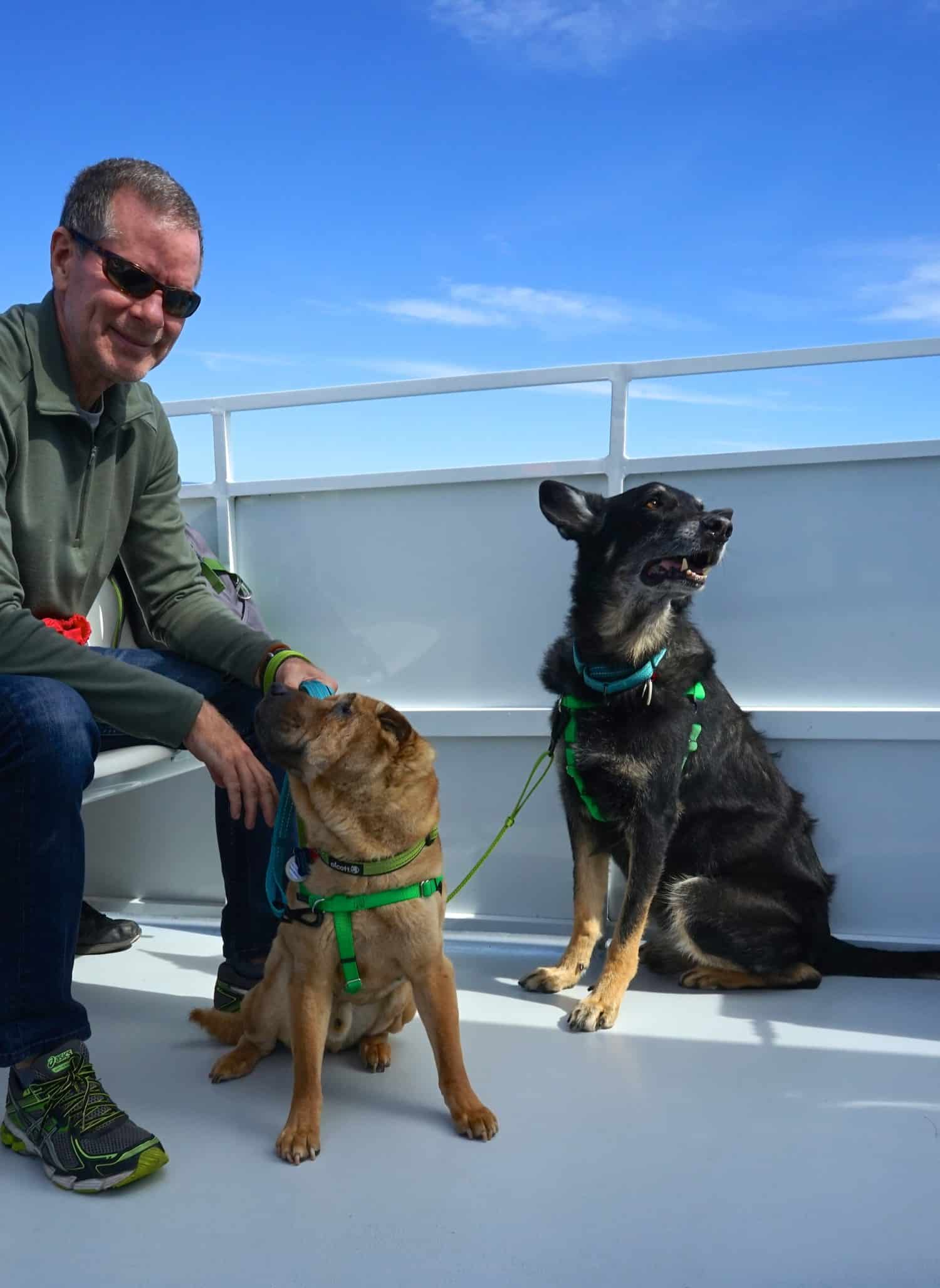 Michigan's Top Pet Friendly Attraction: Mackinac Island | GoPetFriendly.com