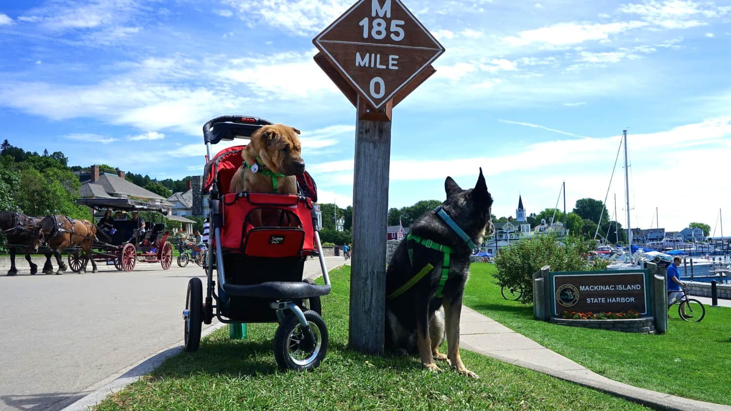 Michigan's Top Pet Friendly Attraction: Mackinac Island | GoPetFriendly.com