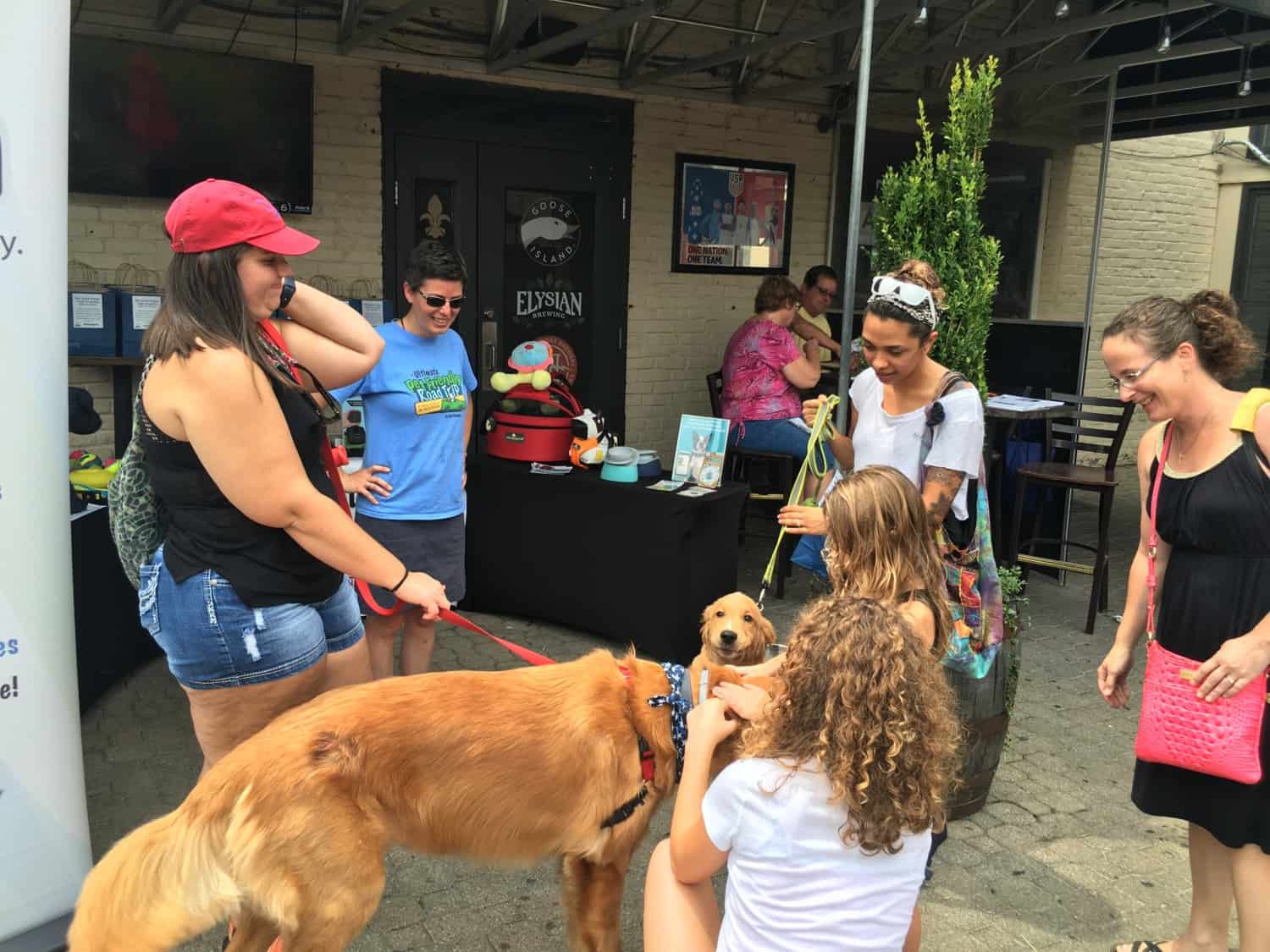 Kentucky's Top Pet Friendly Attraction: Abraham Lincoln Birthplace | GoPetFriendly.com